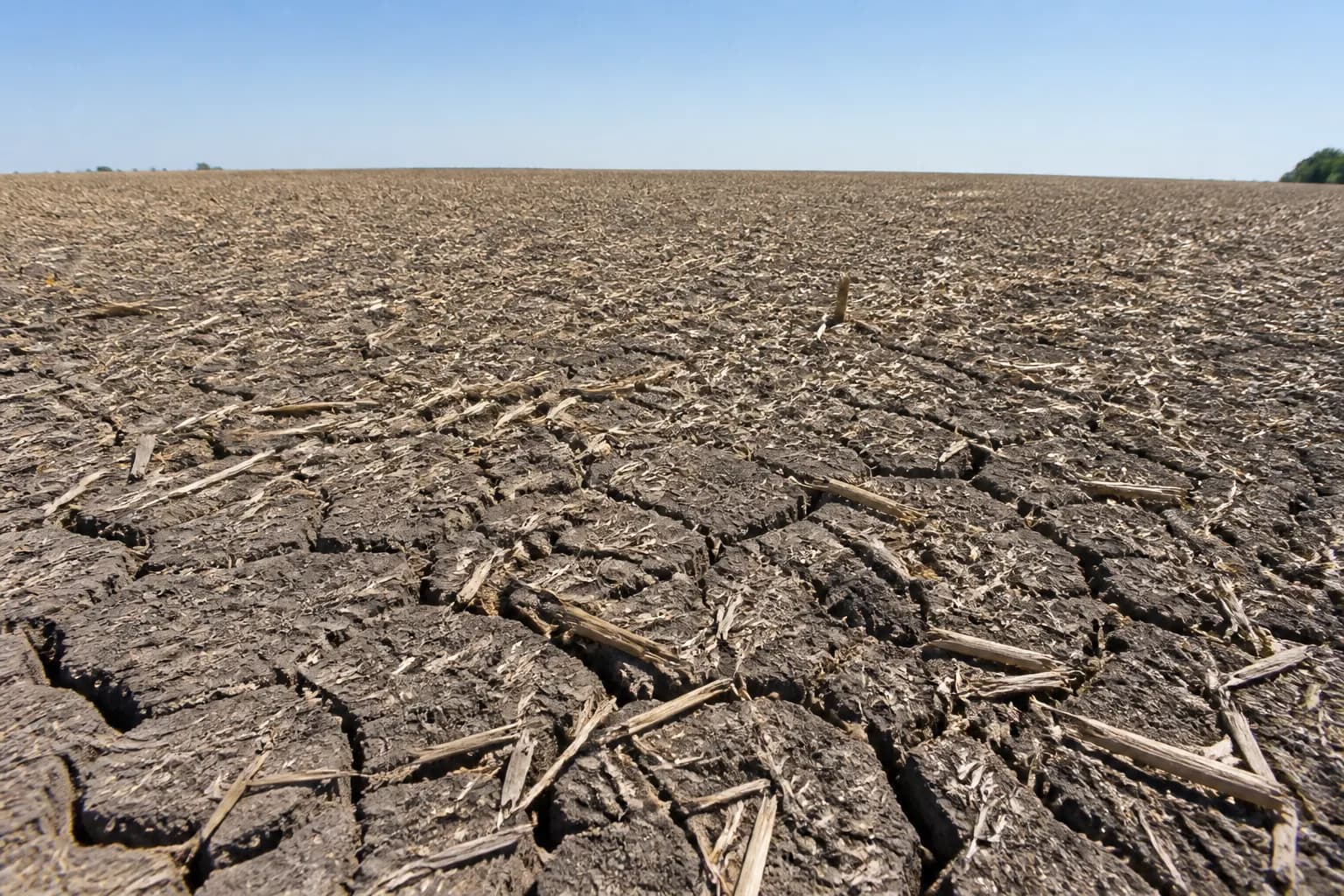 Vizual editorial pentru articolul „No-till în anii secetoși: avantaje și limite”